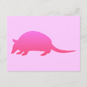 Carte Postale Armadillo rose