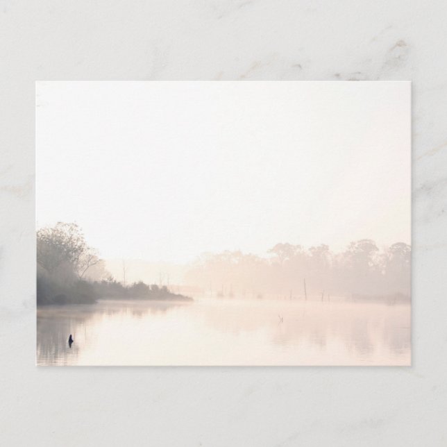 Carte Postale Armand Bayou brouillard (Devant)