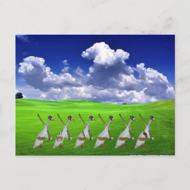 Carte Postale Armée de canard de coureur (Devant)