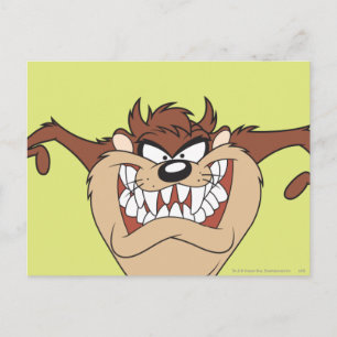 Carte Postale Armoiries larges TAZ™