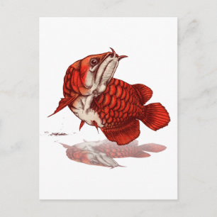Carte Postale Arowana asiatique