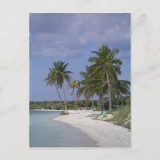 Carte Postale Arrangements tropicaux