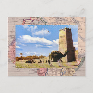 Carte Postale Arrêt de chameau dans le désert