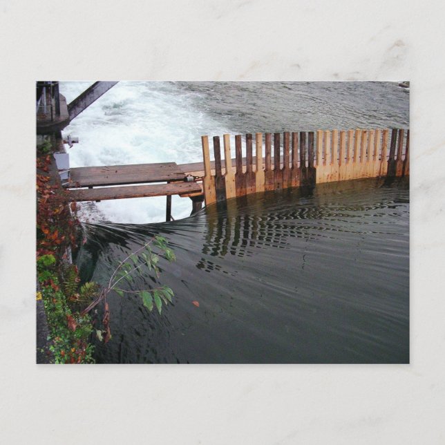 Carte Postale Arrêt de printemps (Devant)