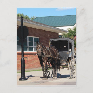 Carte Postale Arrêté pour un sort, un cheval apathique au pannea
