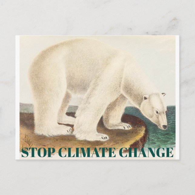 Carte Postale Arrêter les changements climatiques Menacé Ours po (Devant)