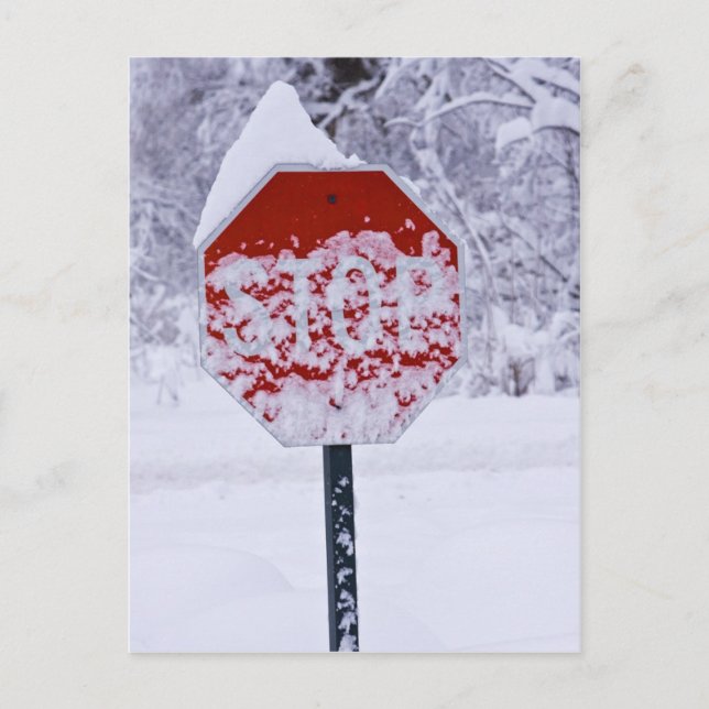 Carte Postale Arrêtez de neiger ! (Devant)