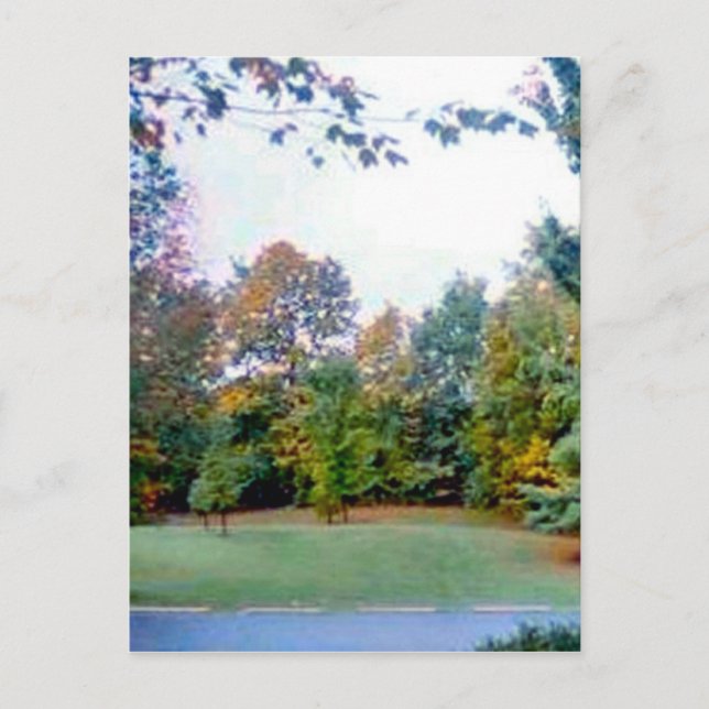 Carte Postale Arrière-cour (Devant)