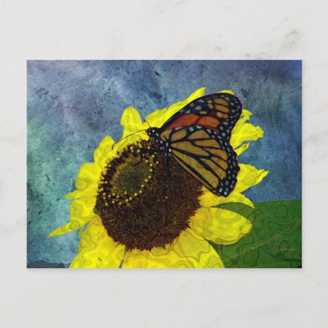 Carte Postale Arrière - plan bleu papillon et tournesol (Devant)