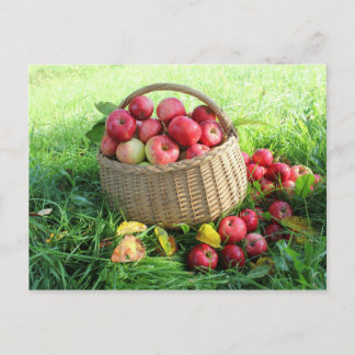 Carte Postale Arrière - plan d'automne