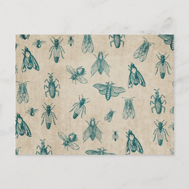 Carte Postale Arrière - plan Motif des insectes de bogue (Devant)