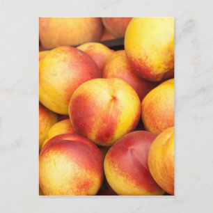 Carte Postale Arrière - plan Nectarines