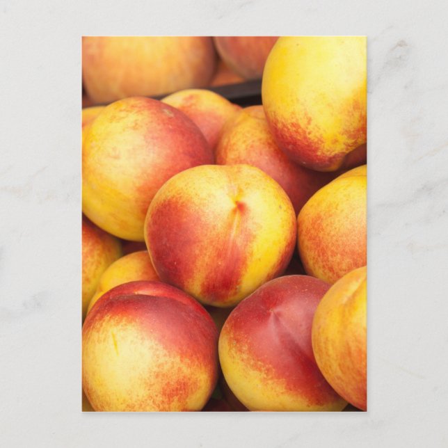 Carte Postale Arrière - plan Nectarines (Devant)
