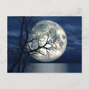 Carte Postale arrière - plan Paysage 3D Avec Lune Sur La Mer