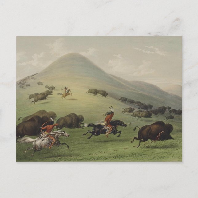 Carte Postale Art amérindien Catlin (Devant)