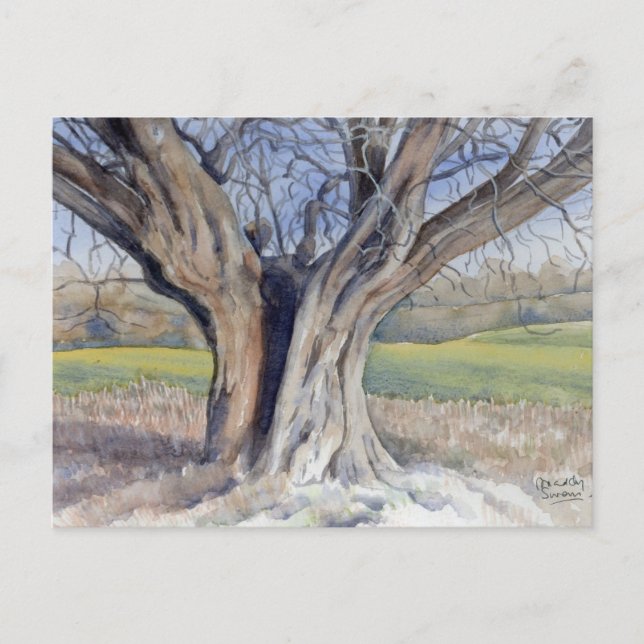 Carte postale Art-Ancien Arbre Anglais (Devant)