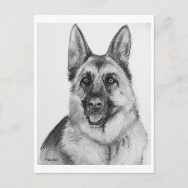 Carte Postale Art berger allemand (Devant)