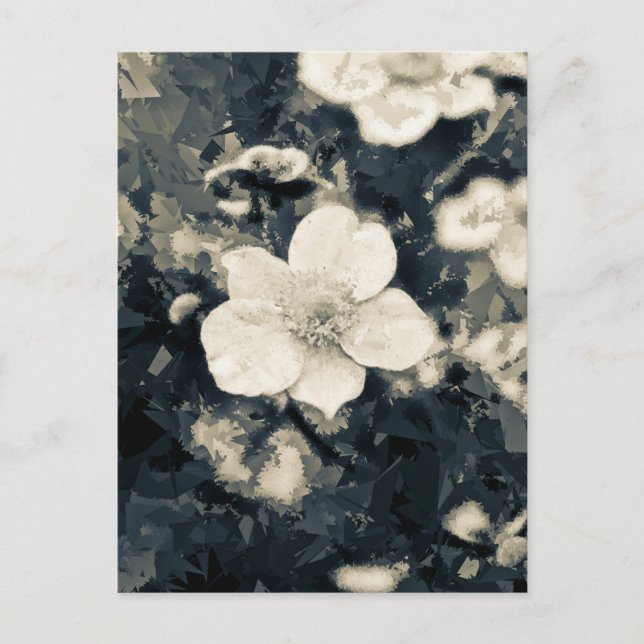 Carte Postale Art botanique de la fleur d'anémone lunatique (Devant)