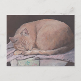 Carte postale Art Chat Kitty Sleeping