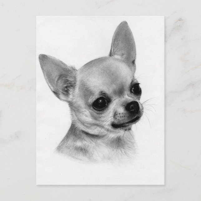 Carte Postale Art Chihuahua Peint À La Main (Devant)