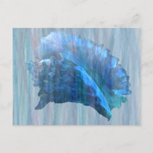 Carte Postale Art Coquillage bleu Conch