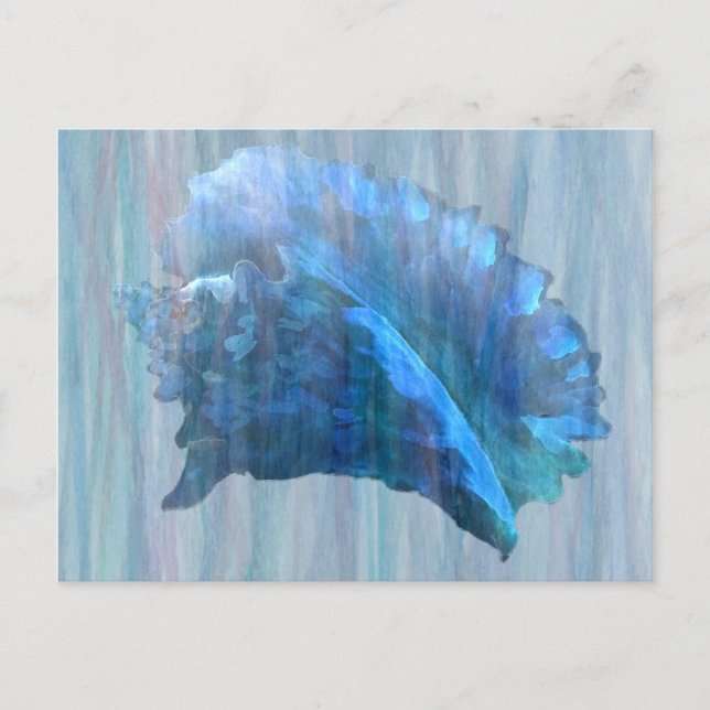 Carte Postale Art Coquillage bleu Conch (Devant)
