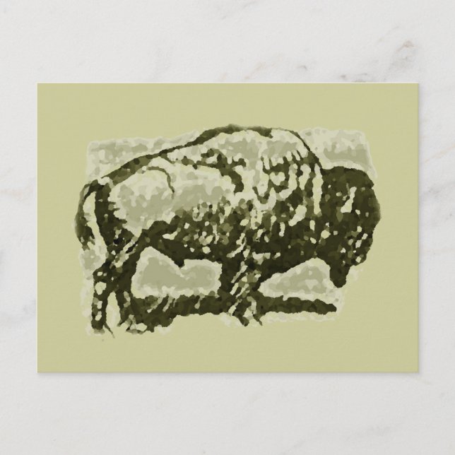 Carte Postale Art de Buffalo (Devant)