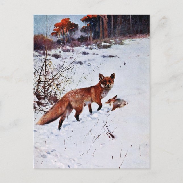 Carte Postale Art de chasse Red Fox (Devant)