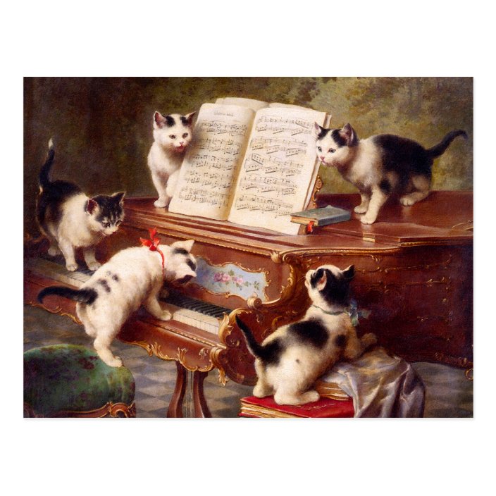Carte Postale chat français vintage