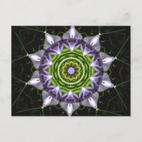 Art de kaléidoscope de mandala floral pourpre