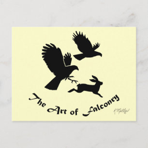 Carte Postale Art de la fauconnerie - Harris Hawks