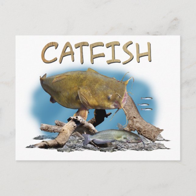 Carte Postale Art de la pêche à la catfish (Devant)