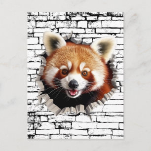 Carte Postale Art de mur cassé 3D Red Panda – Safari réaliste