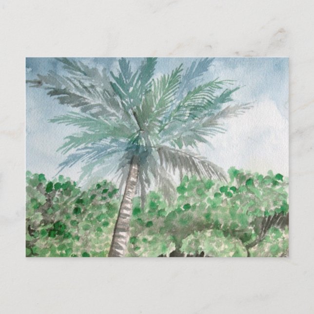 Carte Postale art de plage de palmier (Devant)
