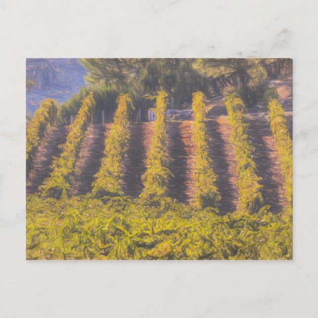 Carte Postale Art Du Vignoble (Devant)
