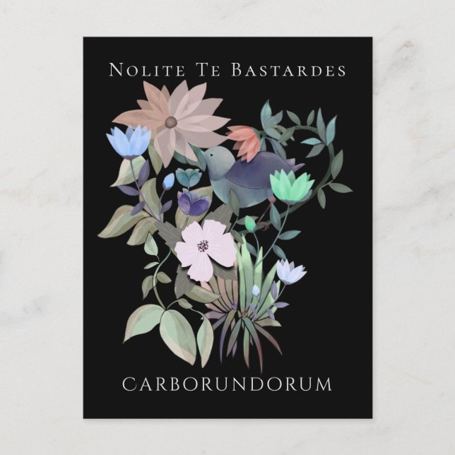 Carte Postale Art féministe Nolite Te Bastardes Carborundorum (Devant)