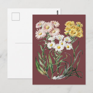 Carte Postale Art floral botanique de fleurs sauvages colorées v