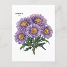 Art floral personnalisé du mois de naissance Aster