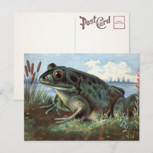 Carte postale Art Frog de Victoria