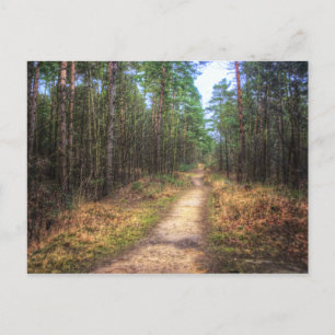 Carte postale Art HDR Forest Path