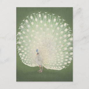 Carte Postale Art japonais vintage   Peacock