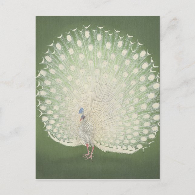 Carte Postale Art japonais vintage | Peacock (Devant)