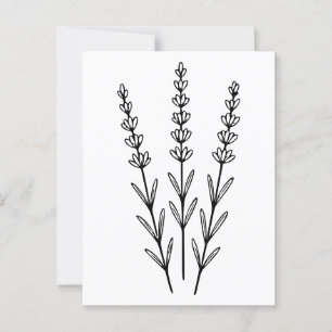 Carte Postale Art minimaliste Lavender Sprigs ligne botanique