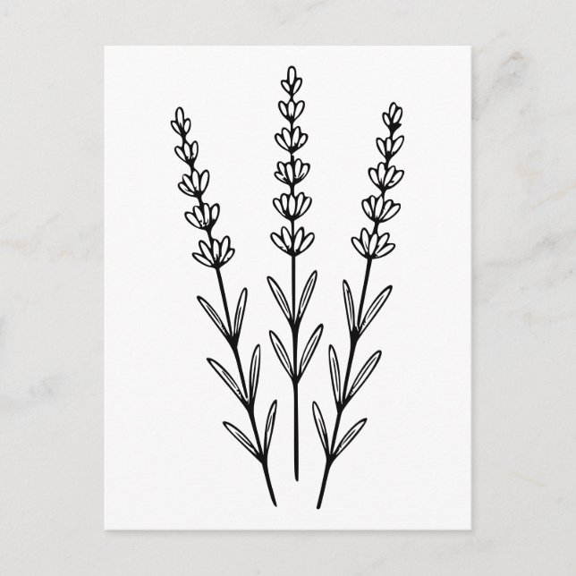 Carte Postale Art minimaliste Lavender Sprigs ligne botanique (Devant)