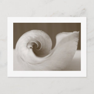 Carte Postale Art moderne