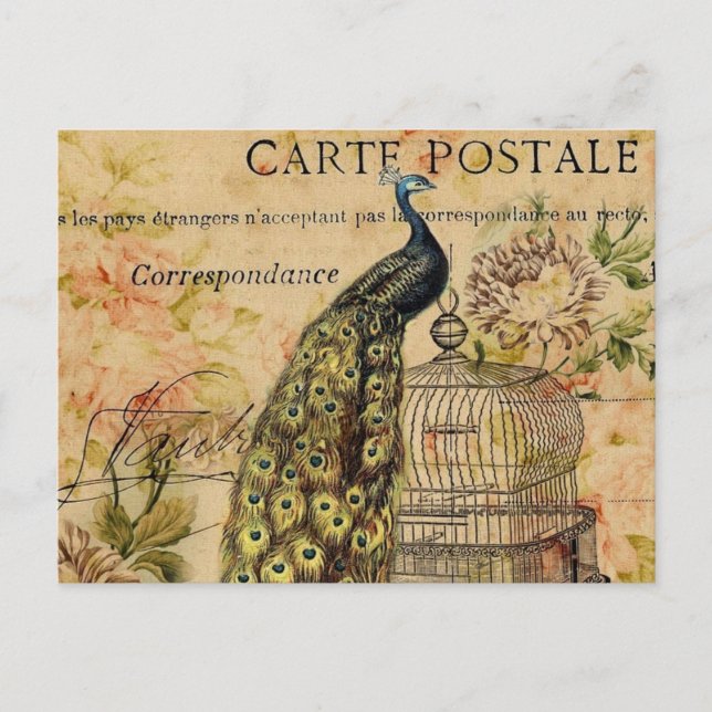 Carte Postale art nouveau vintage paon (Devant)