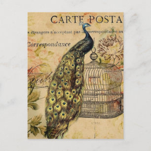 Carte Postale art nouveau vintage paon