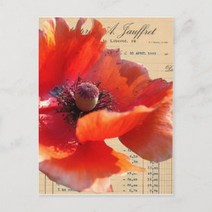 Carte Postale Art numérique de Poppy et Ephemera