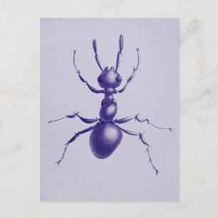 Carte Postale Art numérique d'insectes pourpre à la brosse