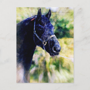 Carte Postale Art numérique du cheval noir